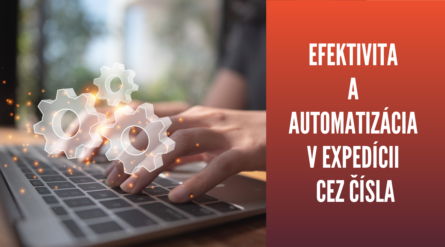 Efektivita a automatizácia v expedícii eshopu cez čísla